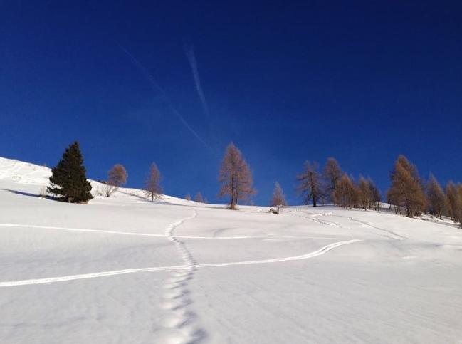 Appartamento Saslonch 21 Моэна Экстерьер фото